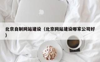 茌平北京自制网站建设（北京网站建设哪家公司好）